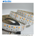 SMD5050 RGBW LED Streifen Licht